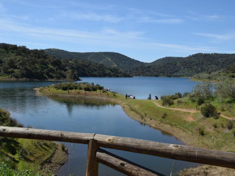Tejadilla Casita Rural Cerca De Sevilla Con Piscina Екстериор снимка